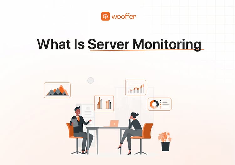 What is Server Monitoring